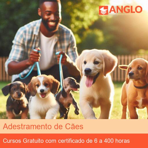 Adestramento de Cães